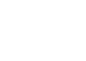 Ruscus Italiano - Patagonia Vital